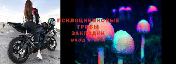 синтетический гашиш Няндома